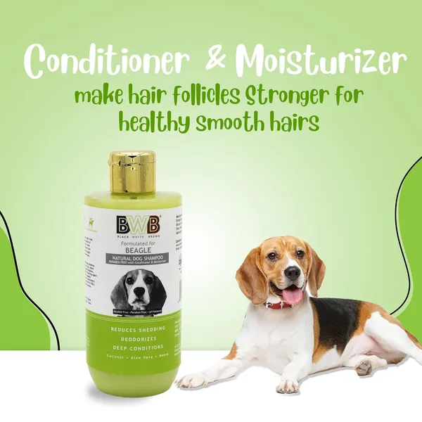 BWB_Natural_Dog_Shampoo_for_Beagle(Combo_Pack_250ml_+_250ml)_.PARABEN_Free+Alcohol_Free+pH_Balance_with_Conditioner_&_Moisturiser_and_Added_Alovera,NEEM,Coconut_&_Amla_extracts_(500_ML)