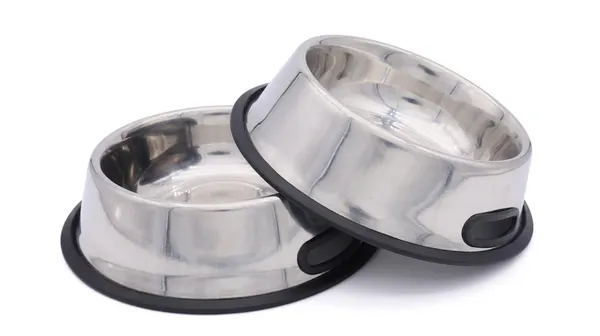 BWB_Stainless_Steel_Pet_Food_and_Water_Bowl_with_Anti-Skid_Rubber_Base_and_Easy-Grip_Side_Handle_for_Easy_Lifting_(700_ml_-_Pack_of_2)_-_Medium_|_Heavy_Duty_Feeding_Bowl_for_Dogs,_Puppies_&_Cats