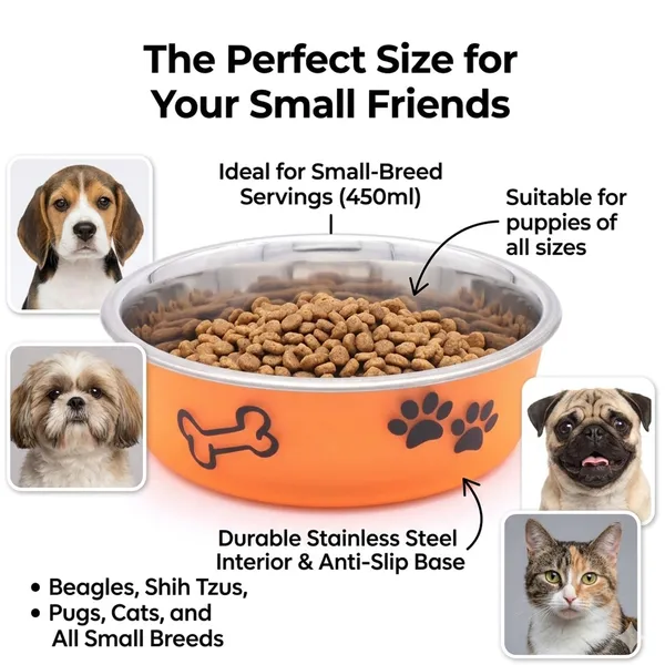 BWB_Stainless_Steel_Printed_Pet_Bowl_with_Anti-Skid_Rubber_Base_for_Dogs_and_Cats_–_Durable_Food_&_Water_Dish_(Orange,_Small_450ml)