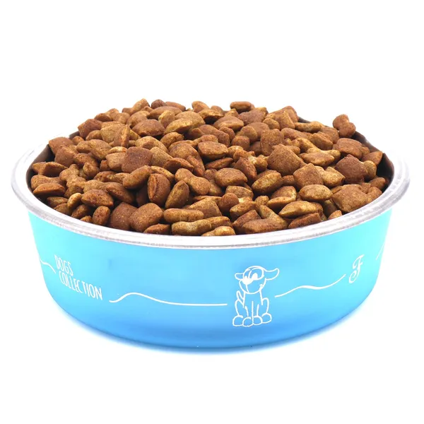 BWB_Stainless_Steel_Printed_Pet_Bowl_with_Anti-Skid_Rubber_Base_for_Dogs_and_Cats_–_Durable_Food_&_Water_Dish_with_Cute_Dog_Print,_Blue_(450ml)-_Small