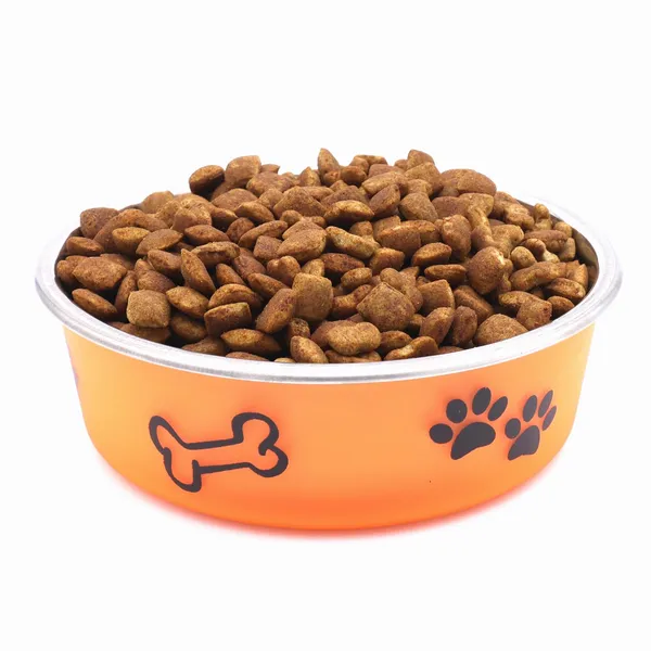BWB_Stainless_Steel_Printed_Pet_Bowl_with_Anti-Skid_Rubber_Base_for_Dogs_and_Cats_–_Durable_Food_&_Water_Dish_with_Cute_Paw_and_Bone_Print,_Orange_(750_ml)-_Medium