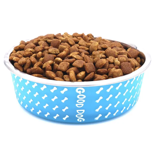 BWB_Stainless_Steel_Printed_Pet_Bowl_with_Anti-Skid_Rubber_Base_for_Dogs_and_Cats_–_Durable_Food_&_Water_Dish_-_Light_Blue_with_Bone_Pattern,_Blue_(750_ml)-_Medium