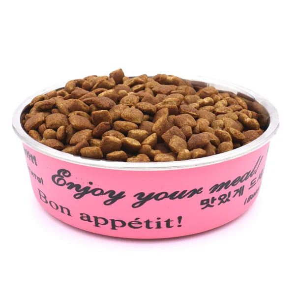 BWB_Stainless_Steel_Printed_Pet_Bowl_with_Anti-Skid_Rubber_Base_for_Dogs_and_Cats_–_Durable_Food_&_Water_Dish_-_Pink_Printed_Design,_Pink_(750_ml)-_Medium