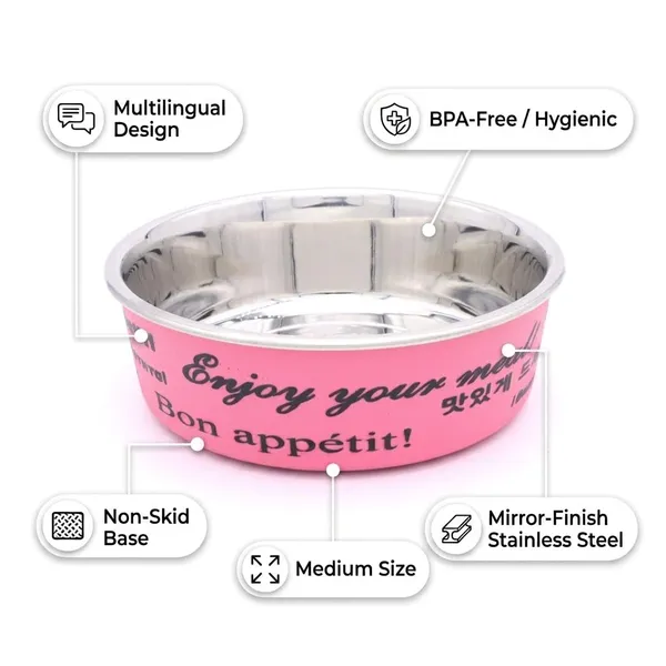 BWB_Stainless_Steel_Printed_Pet_Bowl_with_Anti-Skid_Rubber_Base_for_Dogs_and_Cats_–_Durable_Food_&_Water_Dish_-_Pink_Printed_Design,_Pink_(750_ml)-_Medium