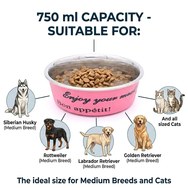 BWB_Stainless_Steel_Printed_Pet_Bowl_with_Anti-Skid_Rubber_Base_for_Dogs_and_Cats_–_Durable_Food_&_Water_Dish_-_Pink_Printed_Design,_Pink_(750_ml)-_Medium