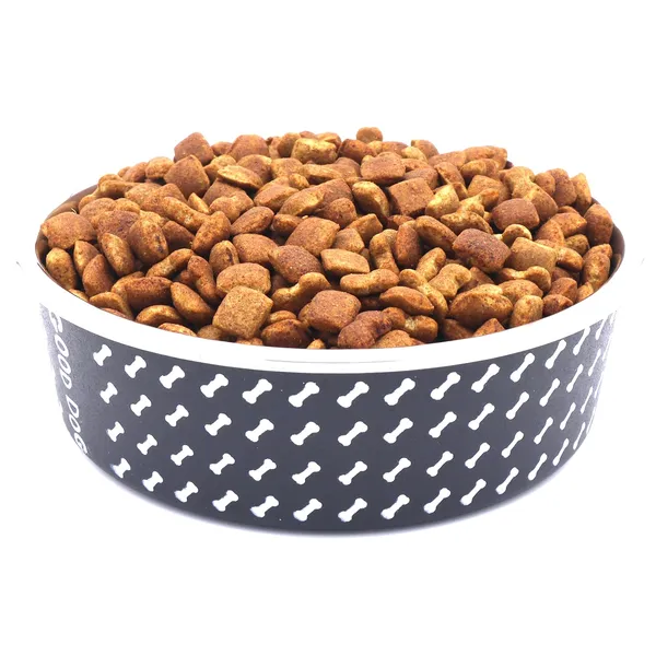 BWB_Stainless_Steel_Printed_Pet_Bowl_with_Anti-Skid_Rubber_Base_for_Dogs_and_Cats_–_Durable_Food_&_Water_Dish_-_Black_with_Bone_Pattern,_Black_(750_ml)-_Medium