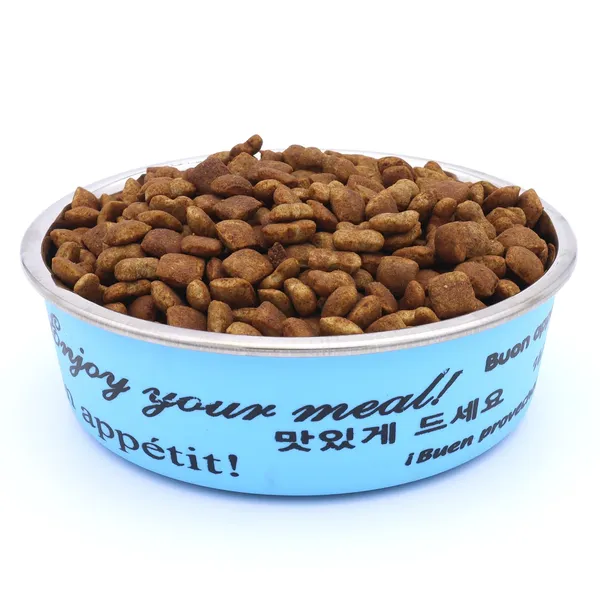 BWB_Stainless_Steel_Printed_Pet_Bowl_with_Anti-Skid_Rubber_Base_for_Dogs_and_Cats_–_Durable_Food_&_Water_Dish_-_Blue_Printed_Design,_Blue_(750_ml)-_Medium