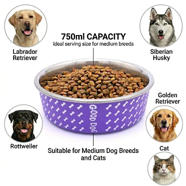 BWB_Stainless_Steel_Printed_Pet_Bowl_with_Anti-Skid_Rubber_Base_for_Dogs_and_Cats_–_Durable_Food_&_Water_Dish_-_Purple_with_Bone_Pattern,_Purple_(750_ml)-_Medium