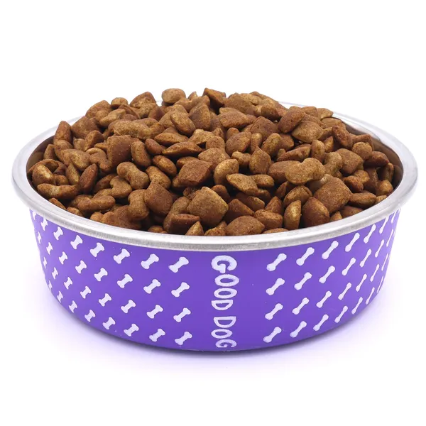 BWB_Stainless_Steel_Printed_Pet_Bowl_with_Anti-Skid_Rubber_Base_for_Dogs_and_Cats_–_Durable_Food_&_Water_Dish_-_Purple_with_Bone_Pattern,_Purple_(750_ml)-_Medium