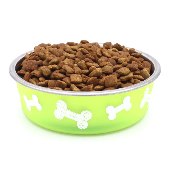 BWB_Stainless_Steel_Printed_Pet_Bowl_with_Anti-Skid_Rubber_Base_for_Dogs_and_Cats_–_Durable_Food_&_Water_Dish_with_Cute_Bone_Print,_Green_(750_ml)-_Medium