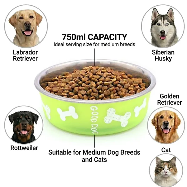 BWB_Stainless_Steel_Printed_Pet_Bowl_with_Anti-Skid_Rubber_Base_for_Dogs_and_Cats_–_Durable_Food_&_Water_Dish_with_Cute_Bone_Print,_Green_(750_ml)-_Medium