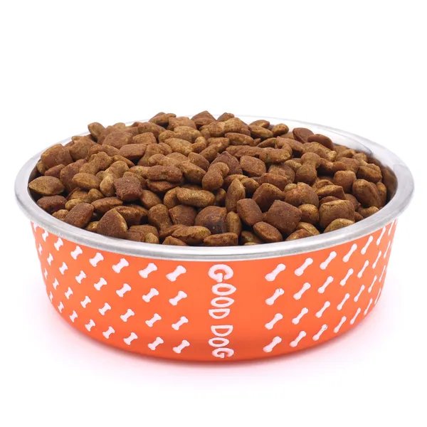 BWB_Stainless_Steel_Printed_Pet_Bowl_with_Anti-Skid_Rubber_Base_for_Dogs_and_Cats_–_Durable_Food_&_Water_Dish_-_Orange_with_Bone_Pattern,_Orange(750_ml)-_Medium