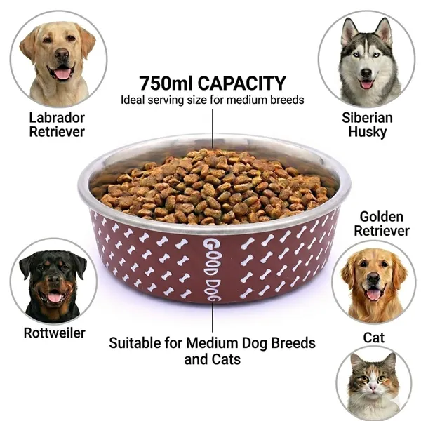 BWB_Stainless_Steel_Printed_Pet_Bowl_with_Anti-Skid_Rubber_Base_for_Dogs_and_Cats_–_Durable_Food_&_Water_Dish_-_Brown_with_Bone_Pattern,_Brown_(750_ml)-_Medium