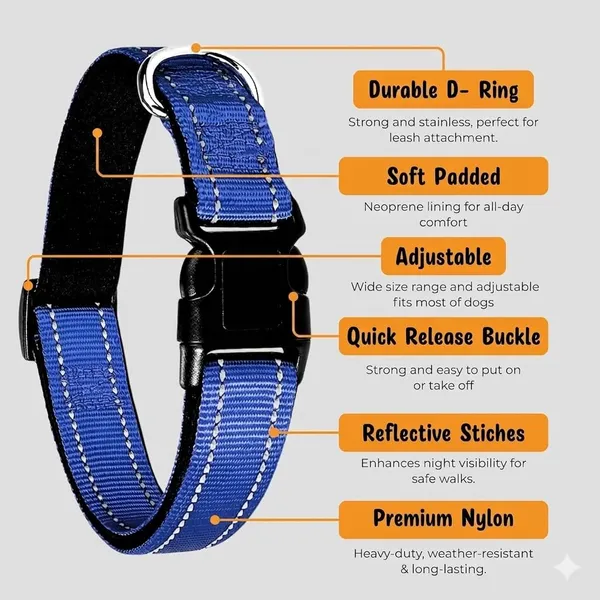 Premium_Reflective_Dog_Collar_–_Soft_Padded,_Nylon,_Adjustable_&_Comfortable_Pet_Collar_with_Steel_D-Ring_and_Heavy_Duty_Buckle_for_Small,_Medium_&_Large_Dogs_-(Pack_of_2,Multicolor)