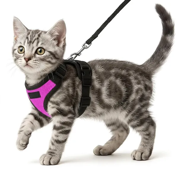 BWB_No_Pull_Cat_Harness_with_Leash(XXS_-_Pink)+free_deospray,_Escape_Proof,_Ultra-Light_Weight,_Air_Mesh_Fabric,_Fully_Adjustable_&_Durable_Cat_Leash_with_Harness_(XXS_-_Pink)