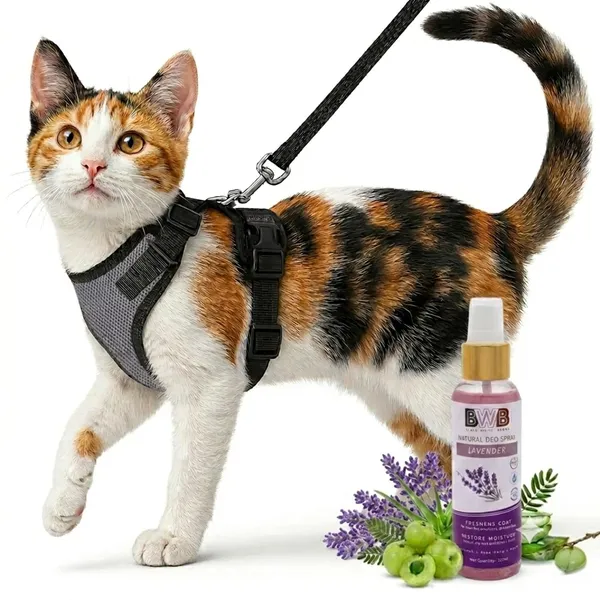 Set_of_2_Adjustable_Paw-Print_Cat_Collars_with_Safety_Bell_|_Soft_Nylon_Breakaway_Design_for_Cats,_Kittens_&_Puppies_|_Adjustable,Lightweight_&_Durable_|_Pink,_Purple_&_Multi-Color_Variety