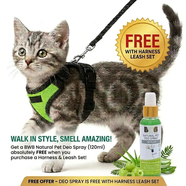 BWB_Escape-Proof_Cat_Harness_and_Leash_Set_–_Soft-Touch_Ventilated_mesh_with_Velcro_for_Safe_Outdoor_Walking,_Easy_Control,_Light_Weight,_Adjustable_Cat_Leash_with_Harness_for_Cats_(S_-_Neon_Green)