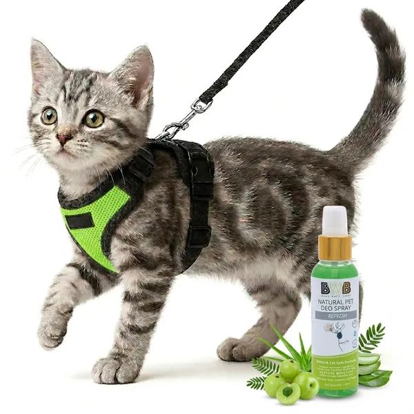 BWB_Escape-Proof_Cat_Harness_and_Leash_Set_–_Soft-Touch_Ventilated_mesh_with_Velcro_for_Safe_Outdoor_Walking,_Easy_Control,_Light_Weight,_Adjustable_Cat_Leash_with_Harness_for_Cats_(S_-_Neon_Green)