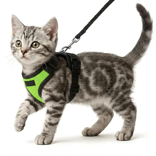 BWB_Escape-Proof_Cat_Harness_and_Leash_Set_–_Soft-Touch_Ventilated_mesh_with_Velcro_for_Safe_Outdoor_Walking,_Easy_Control,_Light_Weight,_Adjustable_Cat_Leash_with_Harness_for_Cats_(S_-_Neon_Green)