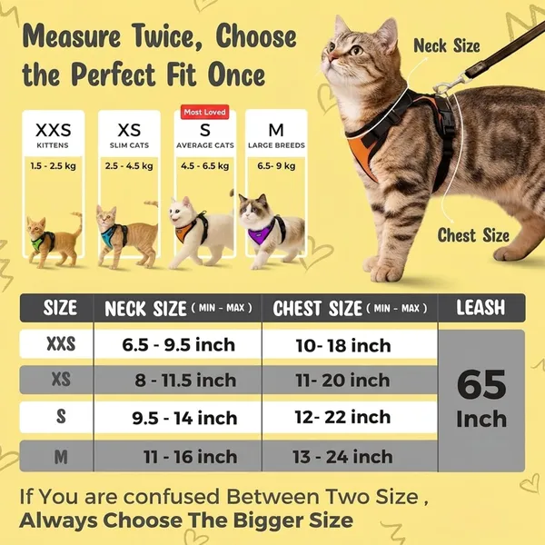 BWB_No_Pull_Cat_Harness_with_Leash_+_Free_Natural_deo_Spray_(120ml),_Escape_Proof,_Ultra-Light_Weight,_Air_Mesh_Fabric,_Fully_Adjustable_&_Durable_Cat_Leash_with_Harness_(XS_-_Pink)