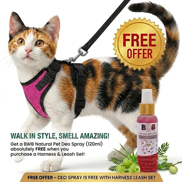 BWB_No_Pull_Cat_Harness_with_Leash_+_Free_Natural_deo_Spray_(120ml),_Escape_Proof,_Ultra-Light_Weight,_Air_Mesh_Fabric,_Fully_Adjustable_&_Durable_Cat_Leash_with_Harness_(XS_-_Pink)