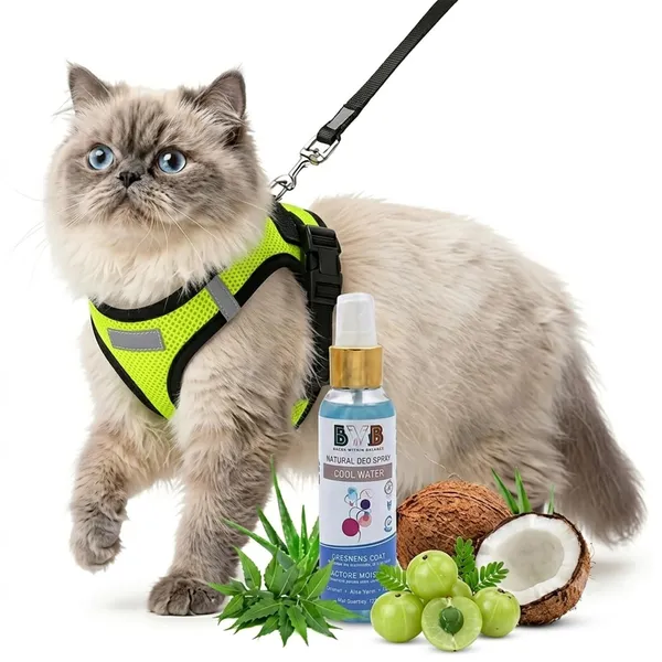 BWB_Nylon_Reflective_Safety_Cat_Collar_with_Bells_-High-Visibility_Adjustable_Nylon_Pet_Collars_with_Safety_Buckle_&_Golden_Bell_for_Kittens,_Cats,_and_Small_to_Medium_Puppies_(Multicolor,_Pack_of_2)