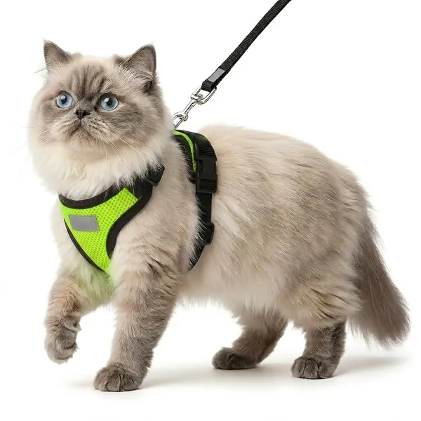 BWB_Nylon_Reflective_Safety_Cat_Collar_with_Bells_-High-Visibility_Adjustable_Nylon_Pet_Collars_with_Safety_Buckle_&_Golden_Bell_for_Kittens,_Cats,_and_Small_to_Medium_Puppies_(Multicolor,_Pack_of_2)