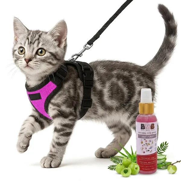 BWB_Reflective_Cat_Harness_with_Leash,_No-Pull_Adjustable_Belt_Vest_for_Small,_Medium_&_Large_Cats,_Escape-Proof,_Padded_Training_&_Walking_Harness_(XL-_Purple)