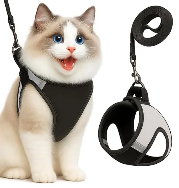 BWB_Escape-Proof_Cat_Harness_and_Leash_Set_–_Soft-Touch_Ventilated_mesh_with_Velcro_for_Safe_Outdoor_Walking,_Easy_Control,_Light_Weight,_Adjustable_Cat_Leash_with_Harness_for_Cats_(M_-_Silver)