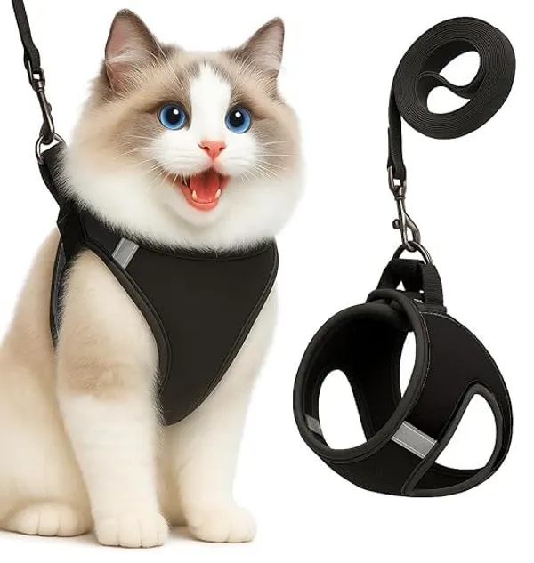 BWB_Escape-Proof_Cat_Harness_and_Leash_Set_–_Soft-Touch_Ventilated_mesh_with_Velcro_for_Safe_Outdoor_Walking,_Easy_Control,_Light_Weight,_Adjustable_Cat_Leash_with_Harness_for_Cats_(L_-_Black)