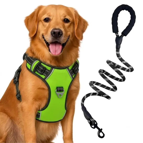 BWB_Reflective_Dog_Harness_with_Leash,_No-Pull_Adjustable_Belt_Vest_for_Small,_Medium_&_Large_Dogs,_Escape-Proof,_Padded_Training_&_Walking_Harness_(S-_Orange)