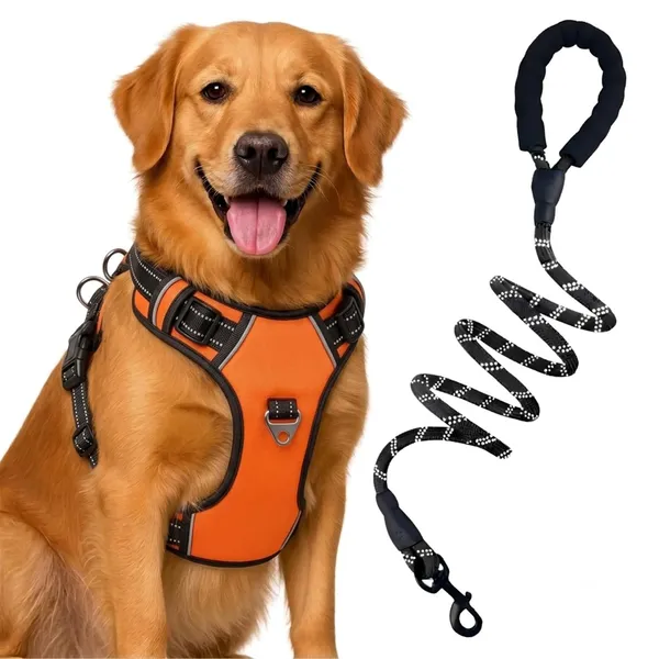BWB_Reflective_Dog_Harness_with_Leash,_No-Pull_Adjustable_Belt_Vest_for_Small,_Medium_&_Large_Dogs,_Escape-Proof,_Padded_Training_&_Walking_Harness_(S-_Black)