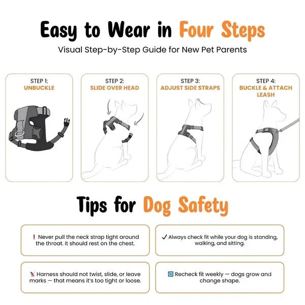 BWB_Reflective_Dog_Harness_with_Leash,_No-Pull_Adjustable_Belt_Vest_for_Small,_Medium_&_Large_Dogs,_Escape-Proof,_Padded_Training_&_Walking_Harness_(S-_Black)