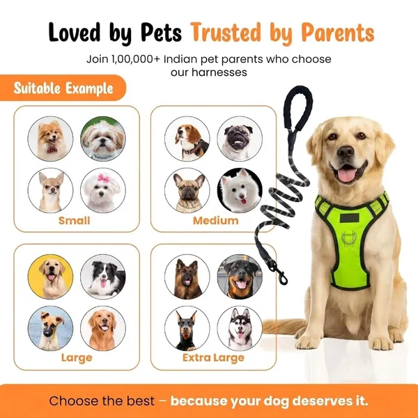 BWB_Reflective_Dog_Harness_with_Leash,_No-Pull_Adjustable_Belt_Vest_for_Small,_Medium_&_Large_Dogs,_Escape-Proof,_Padded_Training_&_Walking_Harness_(S-_Black)