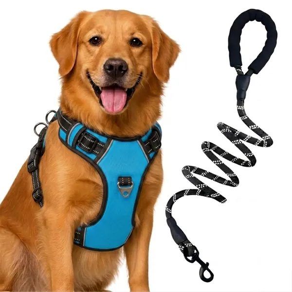 BWB_Reflective_Dog_Harness_with_Leash_(M-blue)_,_No-Pull_Adjustable_Belt_Vest_for_Small,_Medium_&_Large_Dogs,_Escape-Proof,_Padded_Training_&_Walking_Harness_(M-_Blue)