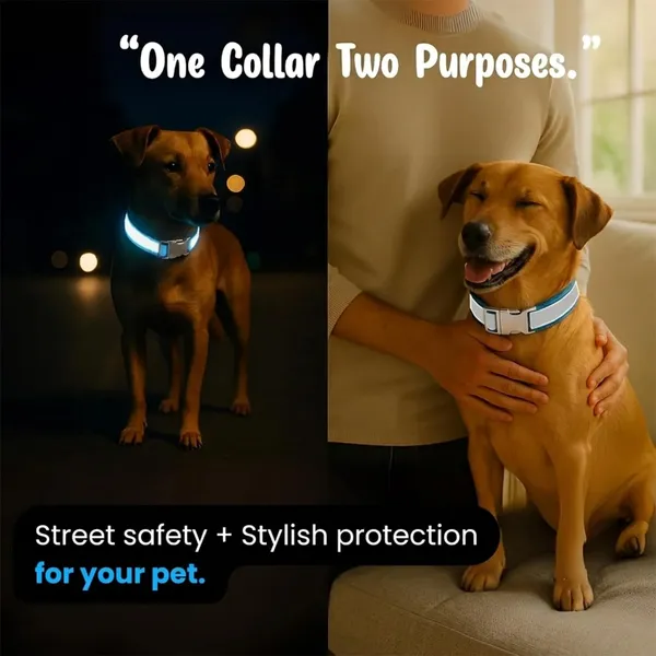 BWB_Reflective_Dog_Collar_Set,_Durable_&_Adjustable_Nylon_Dog_Belt_for_Small,_Medium_&_Large_Dogs,_D-Ring_&_Soft_Comfort_Fit,_Night_Safety_Design_(Set_of_2-_Multicolor)