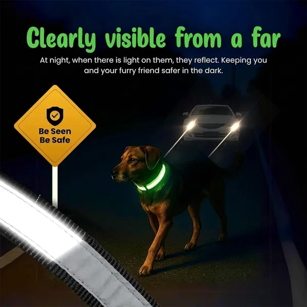 BWB_Premium_Reflective_Nylon_Dog_Collar_(Pack_of_2)-Feautures_with_Adjustable_&_Durable,_Nylon_Dog_Belt,_Heavy_Metal_D_Ring_&_Strong_Buckle,_for_Dogs_(Multicolor)