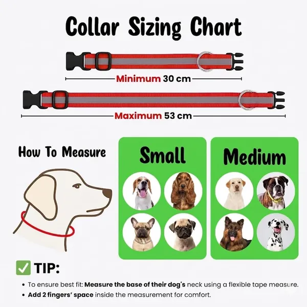 BWB_Premium_Reflective_Nylon_Dog_Collar_(Pack_of_2)-Feautures_with_Adjustable_&_Durable,_Nylon_Dog_Belt,_Heavy_Metal_D_Ring_&_Strong_Buckle,_for_Dogs_(Multicolor)