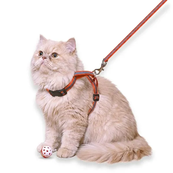 BWB_Reflective_Cat_Harness_and_Leash_Set_–_Escape-Proof,_Adjustable_Breathable_Walking_Vest_for_Cats,_Kittens,_and_Small_Pets_–_Safety_Reflective_Strips_for_Night_Visibility-_Pack_of_1