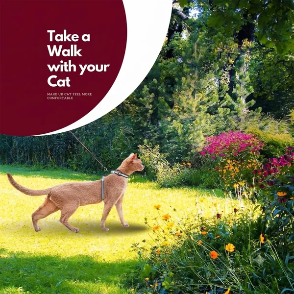BWB_Reflective_Cat_Harness_and_Leash_Set_–_Escape-Proof,_Adjustable_Breathable_Walking_Vest_for_Cats,_Kittens,_and_Small_Pets_–_Safety_Reflective_Strips_for_Night_Visibility-_Pack_of_1