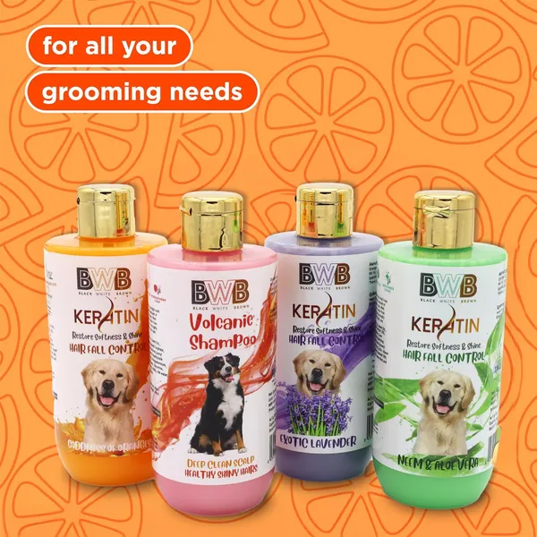 BWB_Keratin_Shampoo_for_Dogs_-Restore_Softness_and_Shine_-HAIRFALL_Control-PARABEN_Free+Alcohol_Free+pH_Balance_with_Natural_Ingredients_(250ML+DEO)-Orange