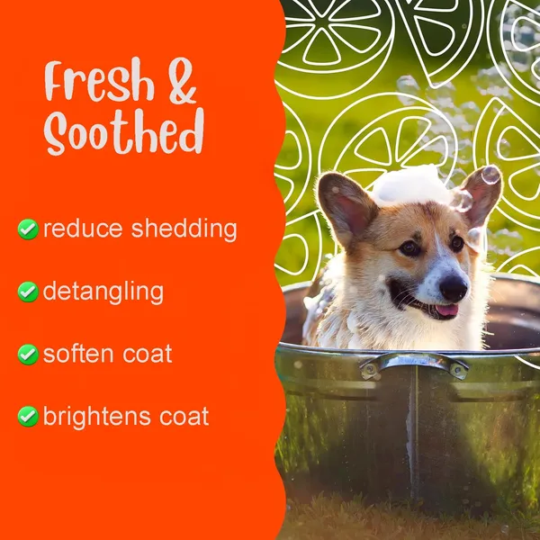 BWB_Keratin_Shampoo_for_Dogs_-Restore_Softness_and_Shine_-HAIRFALL_Control-PARABEN_Free+Alcohol_Free+pH_Balance_with_Natural_Ingredients_(250ML+DEO)-Orange