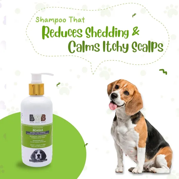 BWB_Natural_Dog_Shampoo_for_Beagle_.PARABEN_Free+Alcohol_Free+pH_Balance_with_Conditioner_&_Moisturiser_and_Added_Alovera,NEEM,Coconut_&_Amla_extracts_(300ML_+_DEOSPRAY)