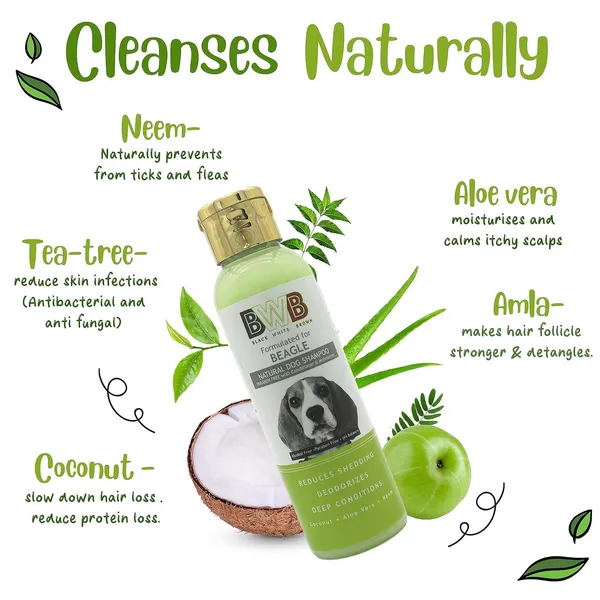 BWB_Natural_Dog_Shampoo_for_Beagle_.PARABEN_Free+Alcohol_Free+pH_Balance_with_Conditioner_&_Moisturiser_and_Added_Alovera,NEEM,Coconut_&_Amla_extracts_(Pack_of_2(120ML+120ML))