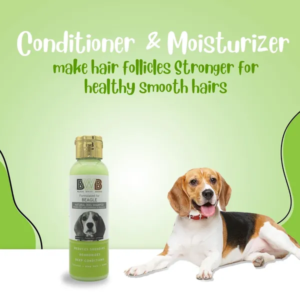 BWB_Natural_Dog_Shampoo_for_Beagle_.PARABEN_Free+Alcohol_Free+pH_Balance_with_Conditioner_&_Moisturiser_and_Added_Alovera,NEEM,Coconut_&_Amla_extracts_(Pack_of_2(120ML+120ML))