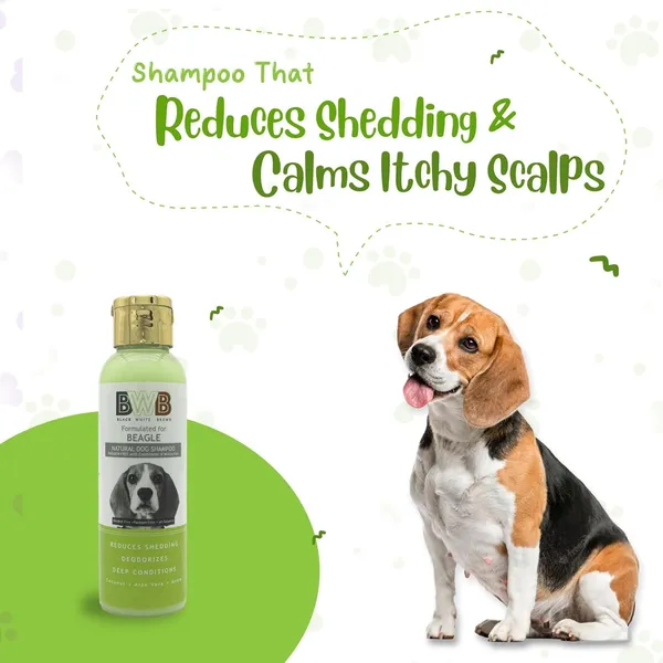 BWB_Natural_Dog_Shampoo_for_Beagle_.PARABEN_Free+Alcohol_Free+pH_Balance_with_Conditioner_&_Moisturiser_and_Added_Alovera,NEEM,Coconut_&_Amla_extracts_(Pack_of_2(120ML+120ML))