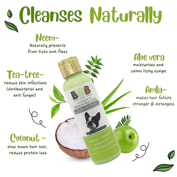 BWB_Natural_Dog_Shampoo_for_French_Bulldog_.PARABEN_Free+Alcohol_Free+pH_Balance_with_Conditioner_&_Moisturiser_and_Added_Alovera,NEEM,Coconut_&_Amla_extracts_(Pack_of_2(120ml_+_120ml))