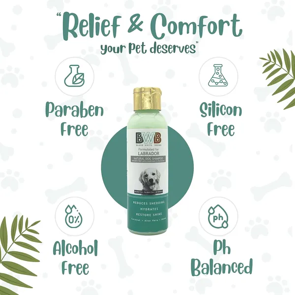 BWB_Natural_Dog_Shampoo_for_Labrador_.PARABEN_Free+Alcohol_Free+pH_Balance_with_Conditioner_&_Moisturiser_and_Added_Alovera,NEEM,Coconut_&_Amla_extracts_(Pack_of_2_(120_ml_+_120_ml))