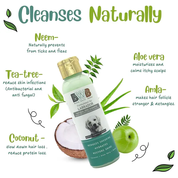 BWB_Natural_Dog_Shampoo_for_Labrador_.PARABEN_Free+Alcohol_Free+pH_Balance_with_Conditioner_&_Moisturiser_and_Added_Alovera,NEEM,Coconut_&_Amla_extracts_(Pack_of_2_(120_ml_+_120_ml))