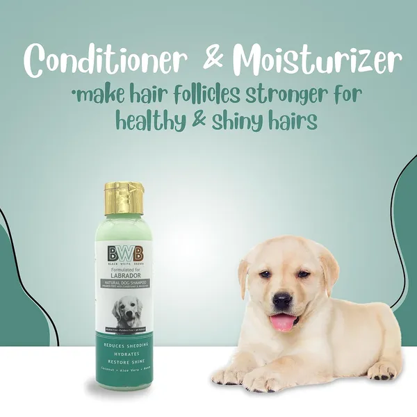 BWB_Natural_Dog_Shampoo_for_Labrador_.PARABEN_Free+Alcohol_Free+pH_Balance_with_Conditioner_&_Moisturiser_and_Added_Alovera,NEEM,Coconut_&_Amla_extracts_(Pack_of_2_(120_ml_+_120_ml))